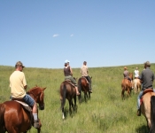 Montana2008 555